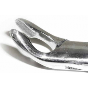 Dental Forcep #151A
