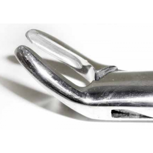 Dental Forcep #151S