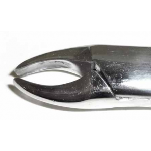 Dental Forcep #201