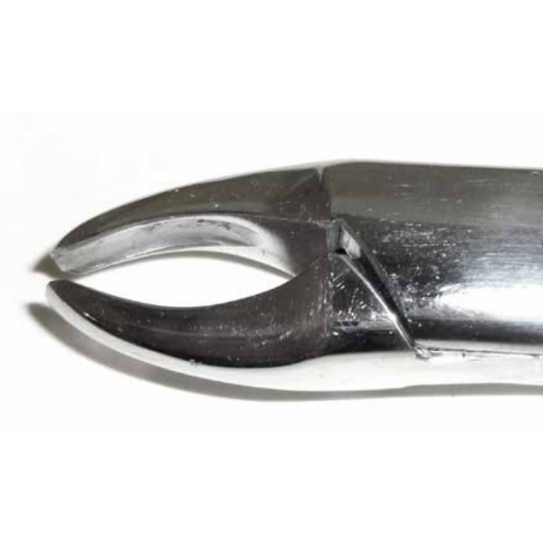 Dental Forcep #201