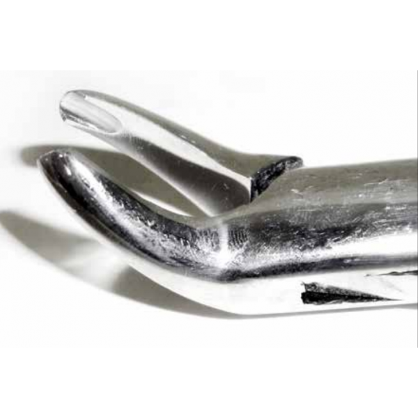 Dental Forcep #203