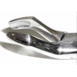 Dental Forcep #210 - Tamsco