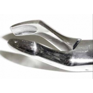 Dental Forcep #210