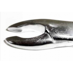 Dental Forcep #213 - Tamsco