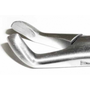 Dental Forcep #222