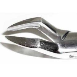 Dental Forcep #286 - Tamsco