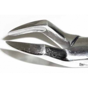 Dental Forcep #286