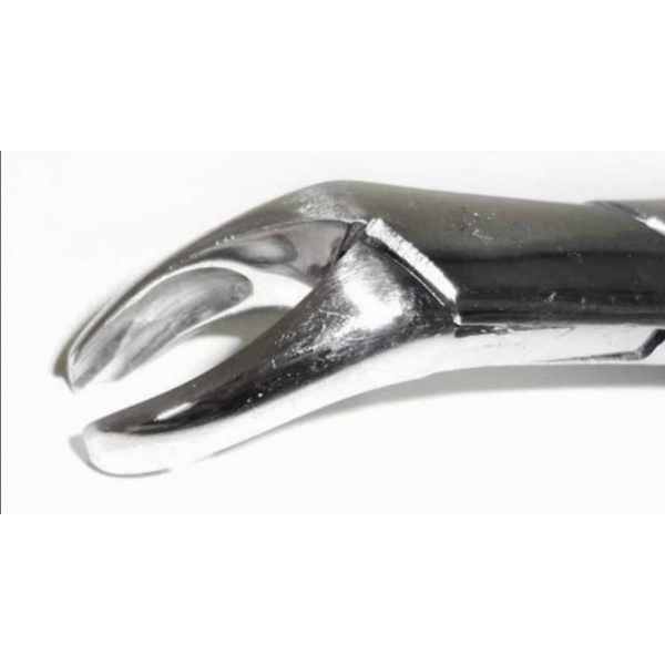 Dental Forcep #287