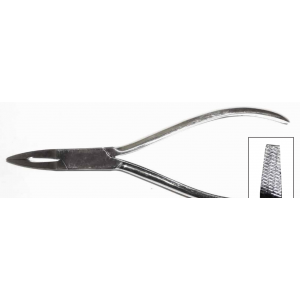 Flat Nose, Lipsafe-Fischer PL156