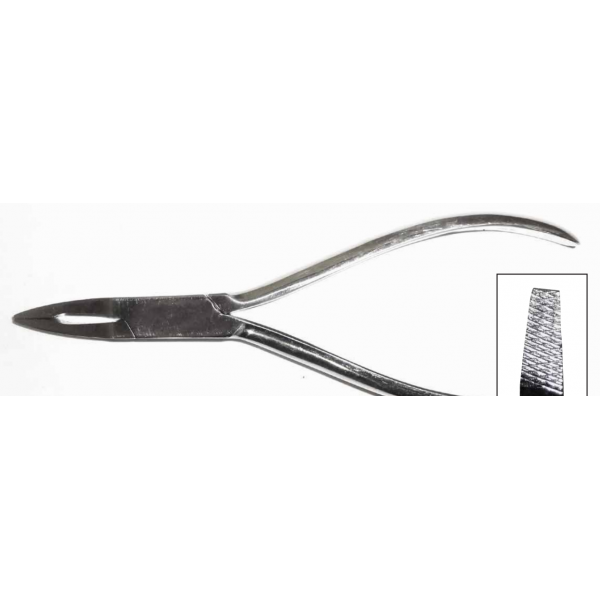 Flat Nose, Lipsafe-Fischer PL156