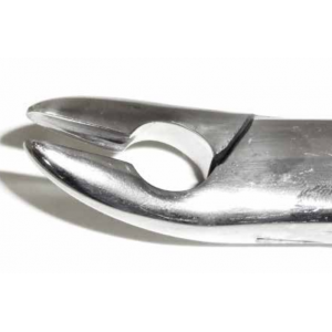 Dental Forcep #85A
