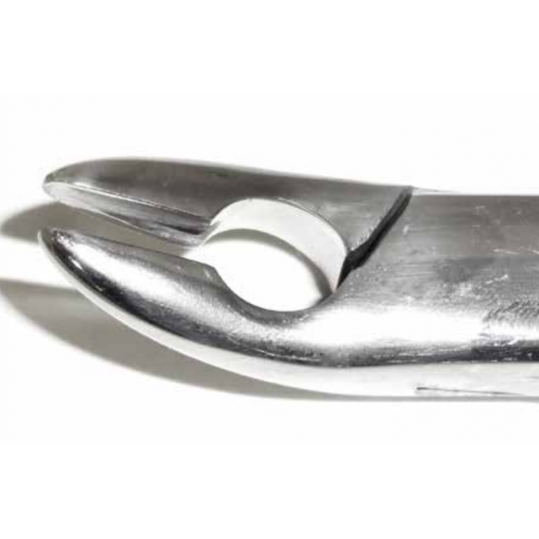 Dental Forcep #85A