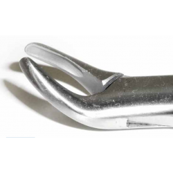 Dental Forcep #103 - Tamsco