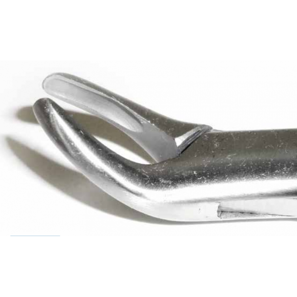 Dental Forcep #103