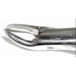 Dental Forcep #150 - Tamsco