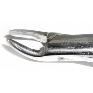 Dental Forcep #150