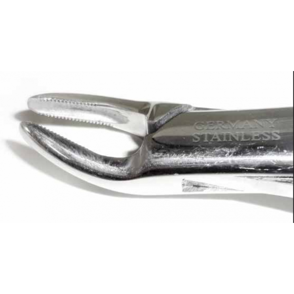 Dental Forcep #150