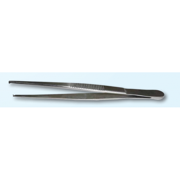 Tissue Forcep, 1X2 5.5"