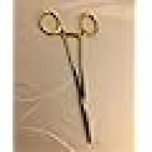 Crile-wood (Glatt/ Smooth) 6"