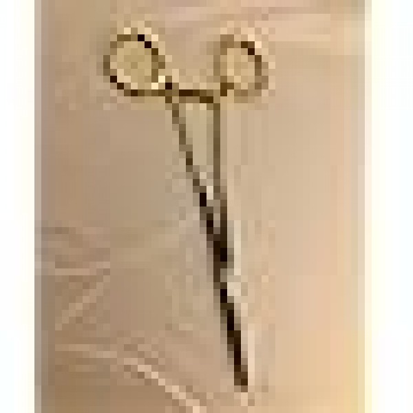 Crile-wood (Glatt/ Smooth) 6"