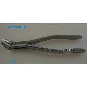 Dental Forcep #6