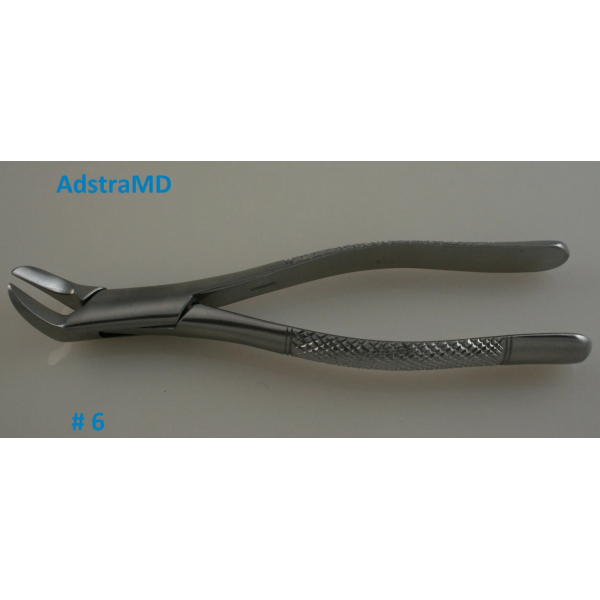 Dental Forcep #6
