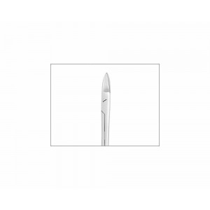 Crown & Collar, Straight 4.5"