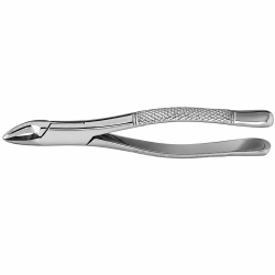 Dental Forcep #101 - Tamsco