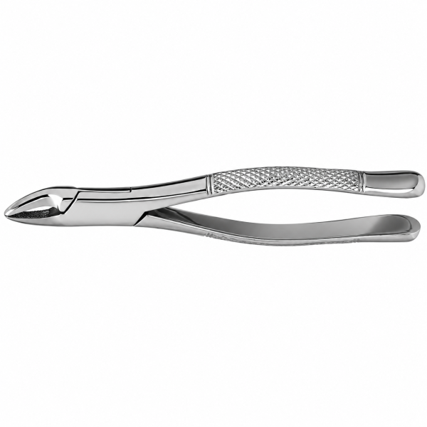 Dental Forcep #101