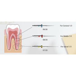 E-Flex - RT Files - Yeah Dental