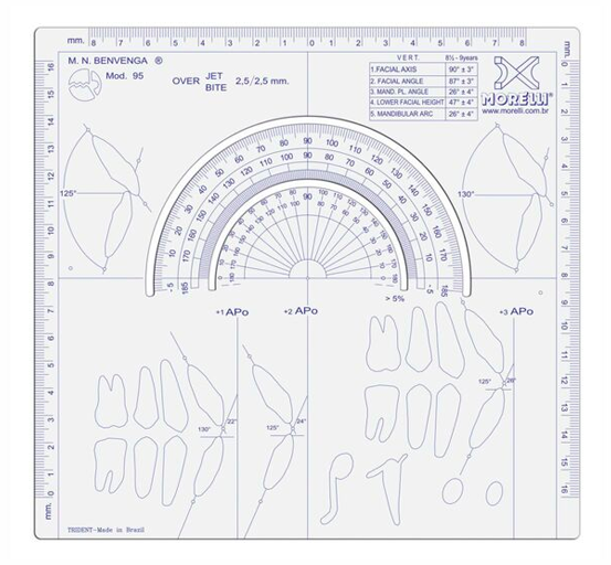 Dental Orthodontic Ruler Ricketts (39945)